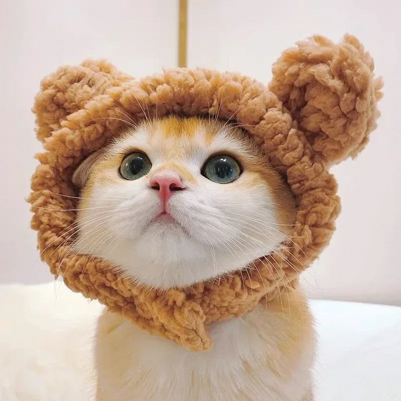 Chapeau en peluche pour chat et petit chien – Accessoire avec oreilles d’ours ou de lapin
