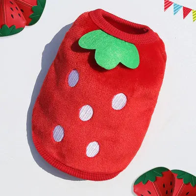 Gilet Polaire pour Petit Chien et Chat – Vêtement Chaud et Doux pour l’Automne et l’Hiver
