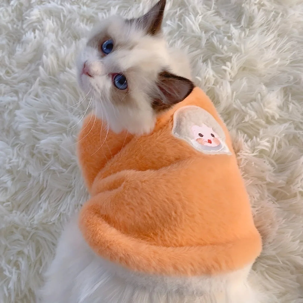 Gilet pour chat et chaton – Vêtement chaud et confortable