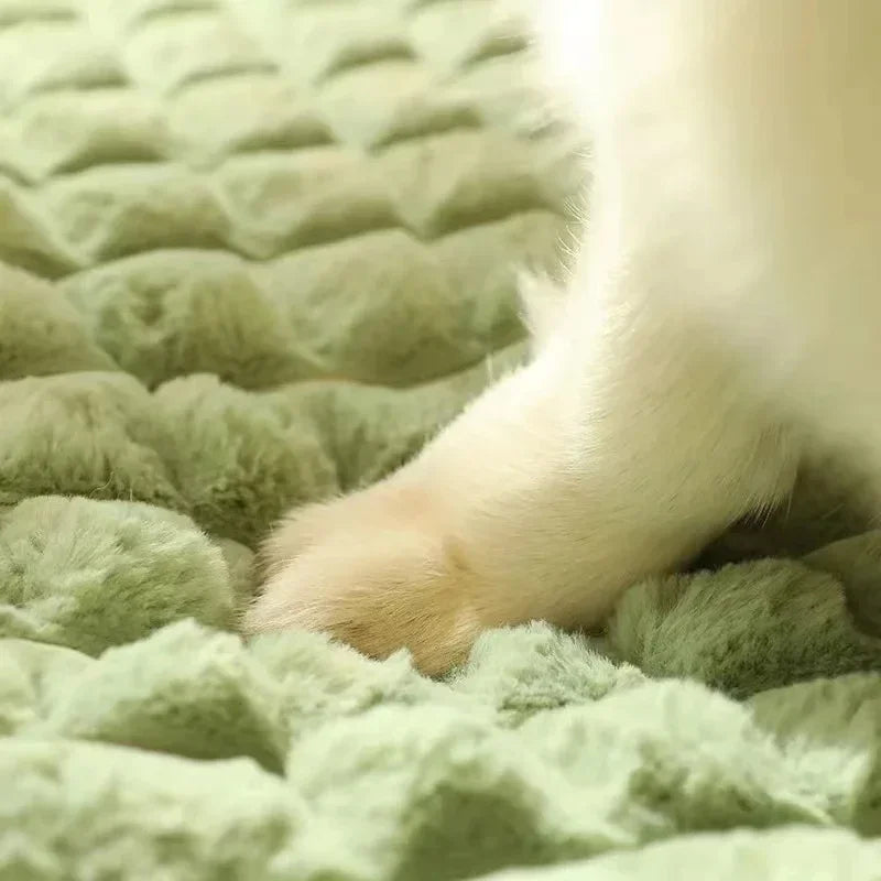 Lit Orthopédique Confortable pour Chien et Chat