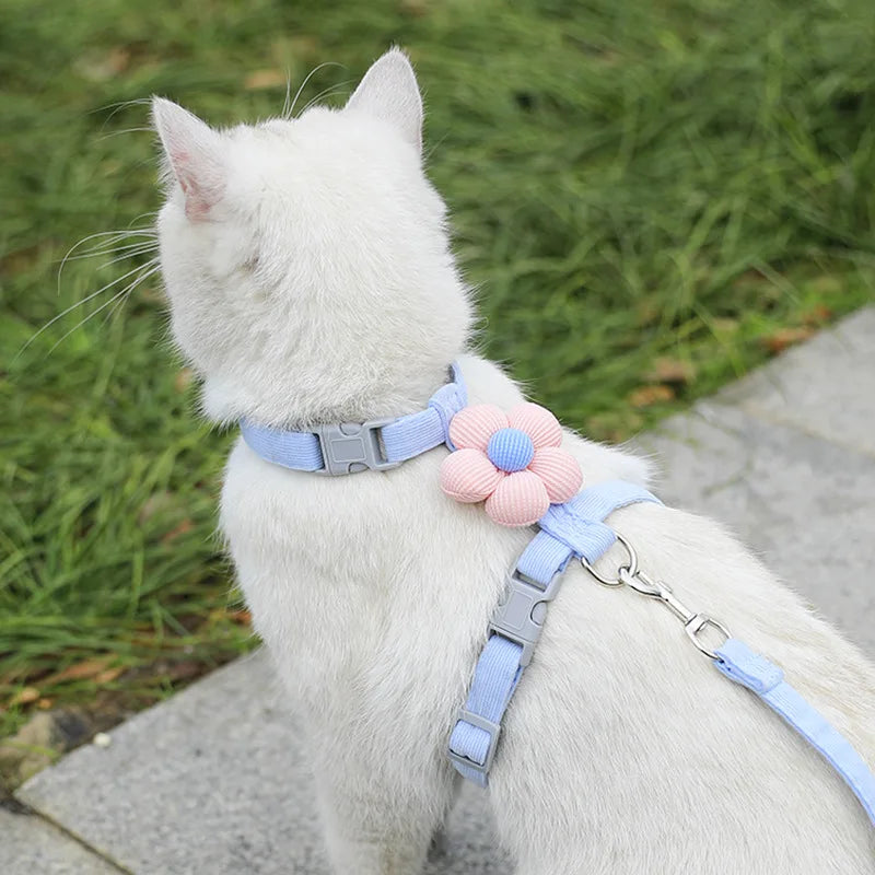 Harnais pour chat avec laisse à motif – Ensemble réglable et confortable