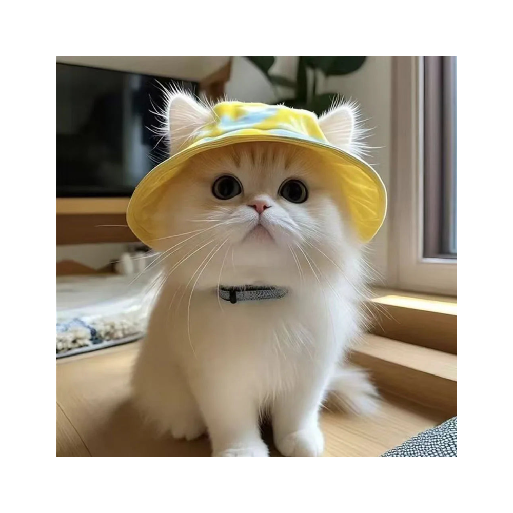 Summer Pet Cat Sun Hat with Ear Holes - Cute Kitten Fisherman Cap for UV Protection, Breathable Outdoor Sunshade Cap for Cats