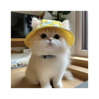 Summer Pet Cat Sun Hat with Ear Holes - Cute Kitten Fisherman Cap for UV Protection, Breathable Outdoor Sunshade Cap for Cats