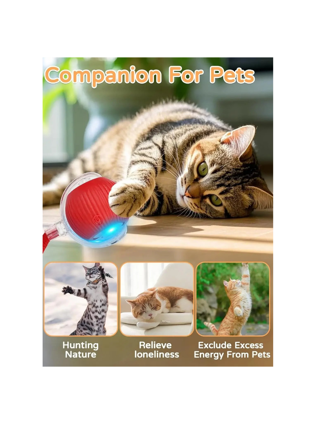 Balle interactive automatique pour chat – Jouet roulant rechargeable pour stimuler l'activité et l'instinct de chasse
