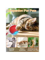 Balle interactive automatique pour chat – Jouet roulant rechargeable pour stimuler l'activité et l'instinct de chasse