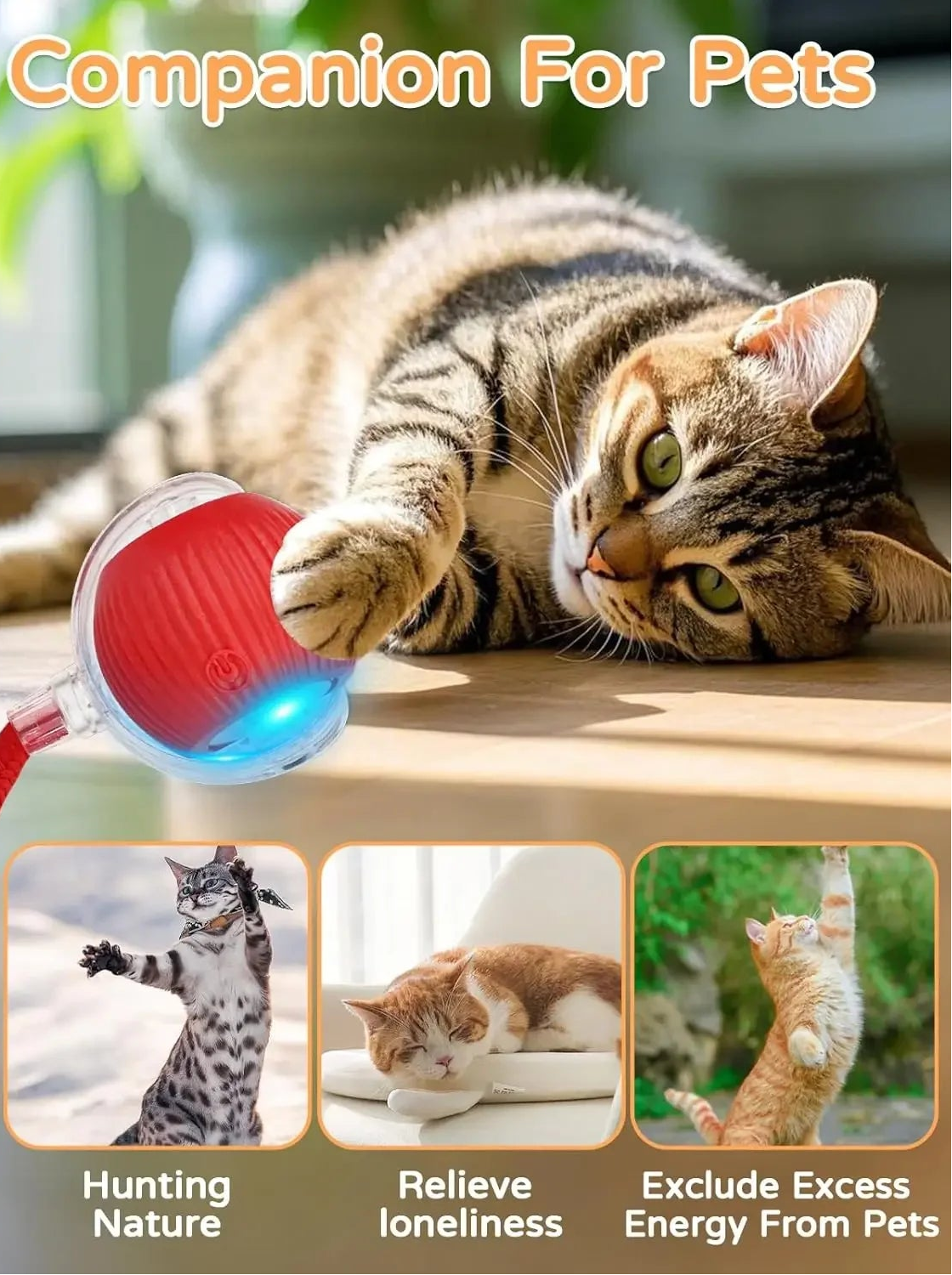 Balle interactive automatique pour chat – Jouet roulant rechargeable pour stimuler l'activité et l'instinct de chasse