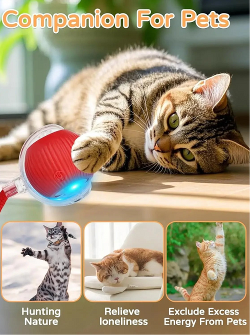 Balle interactive automatique pour chat – Jouet roulant rechargeable pour stimuler l'activité et l'instinct de chasse