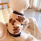 Cardigan Rayé en Coton pour Chien et Chat – Pull Élégant et Chaud pour Automne & Hiver