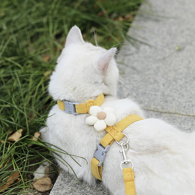 Harnais pour chat avec laisse à motif – Ensemble réglable et confortable