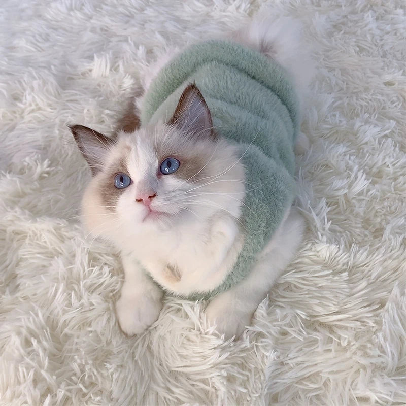 Gilet pour chat et chaton – Vêtement chaud et confortable