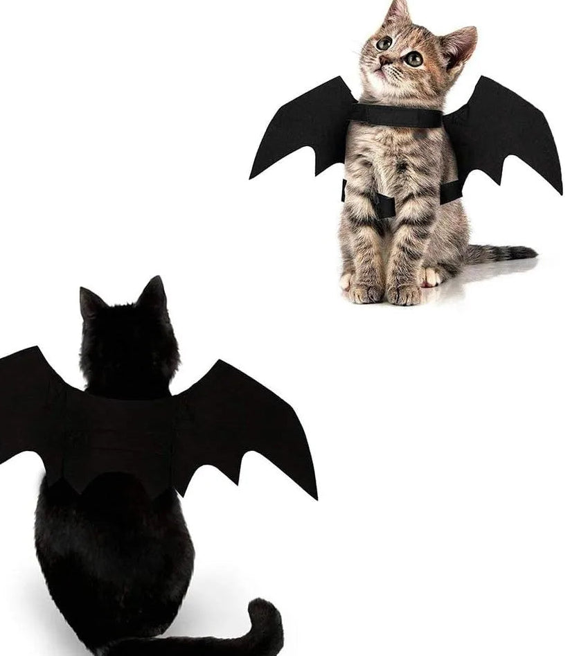 Costume Chauve-Souris pour Chat et Petit Chien – Ailes de Halloween