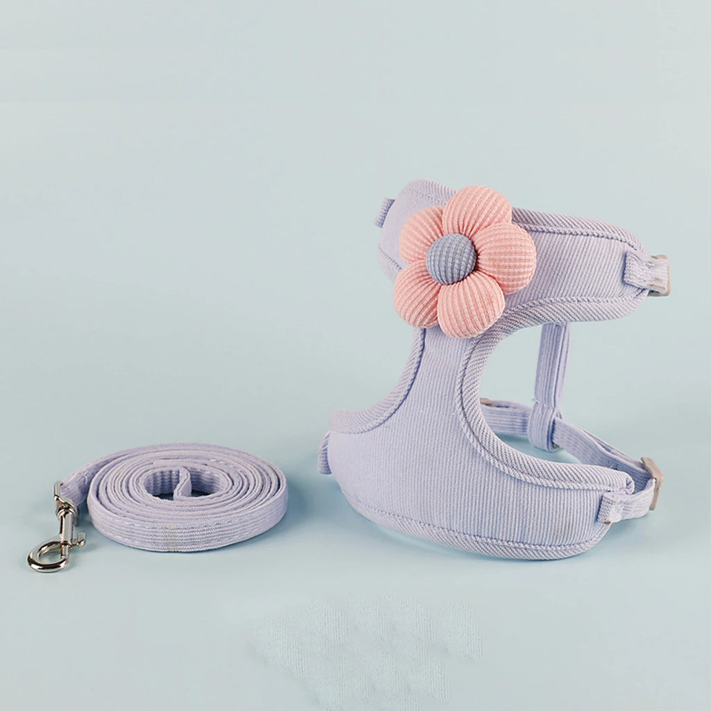Harnais pour chat avec laisse à motif – Ensemble réglable et confortable