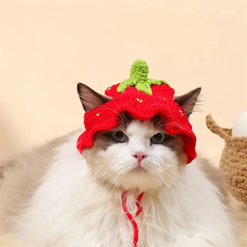 Bonnet floral pour chat et petit chien – Accessoire léger et confortable pour animaux