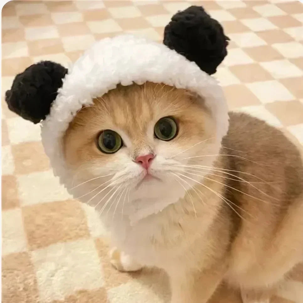Chapeau en peluche pour chat et petit chien – Accessoire avec oreilles d’ours ou de lapin