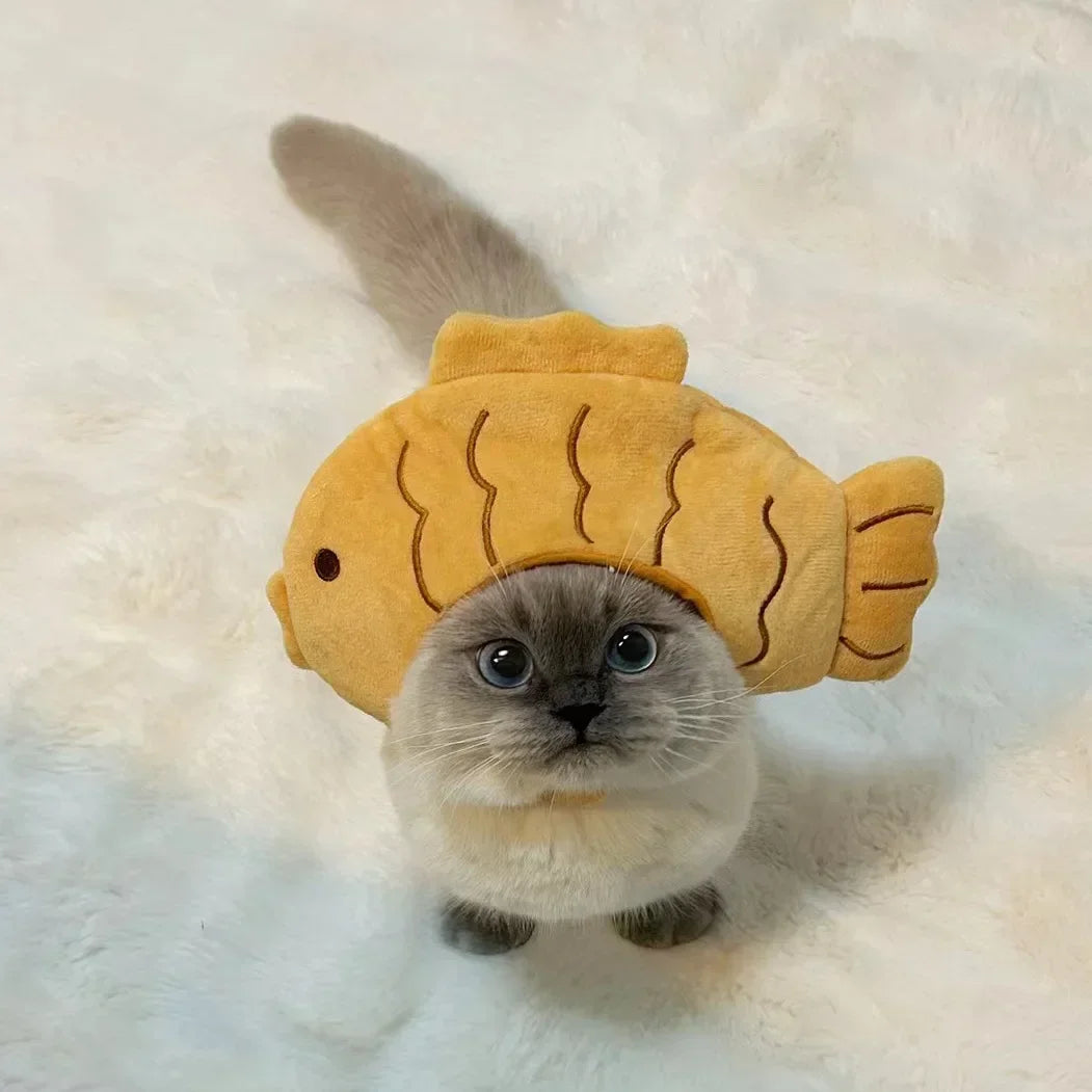 Chapeau en peluche pour chat et petit chien – Accessoire avec oreilles d’ours ou de lapin