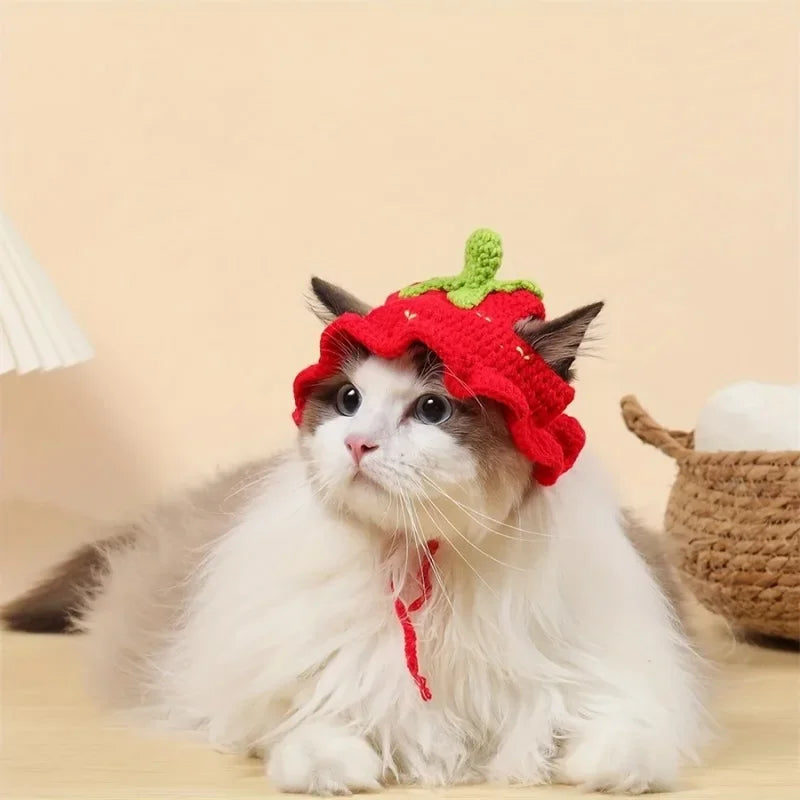 Bonnet floral pour chat et petit chien – Accessoire léger et confortable pour animaux