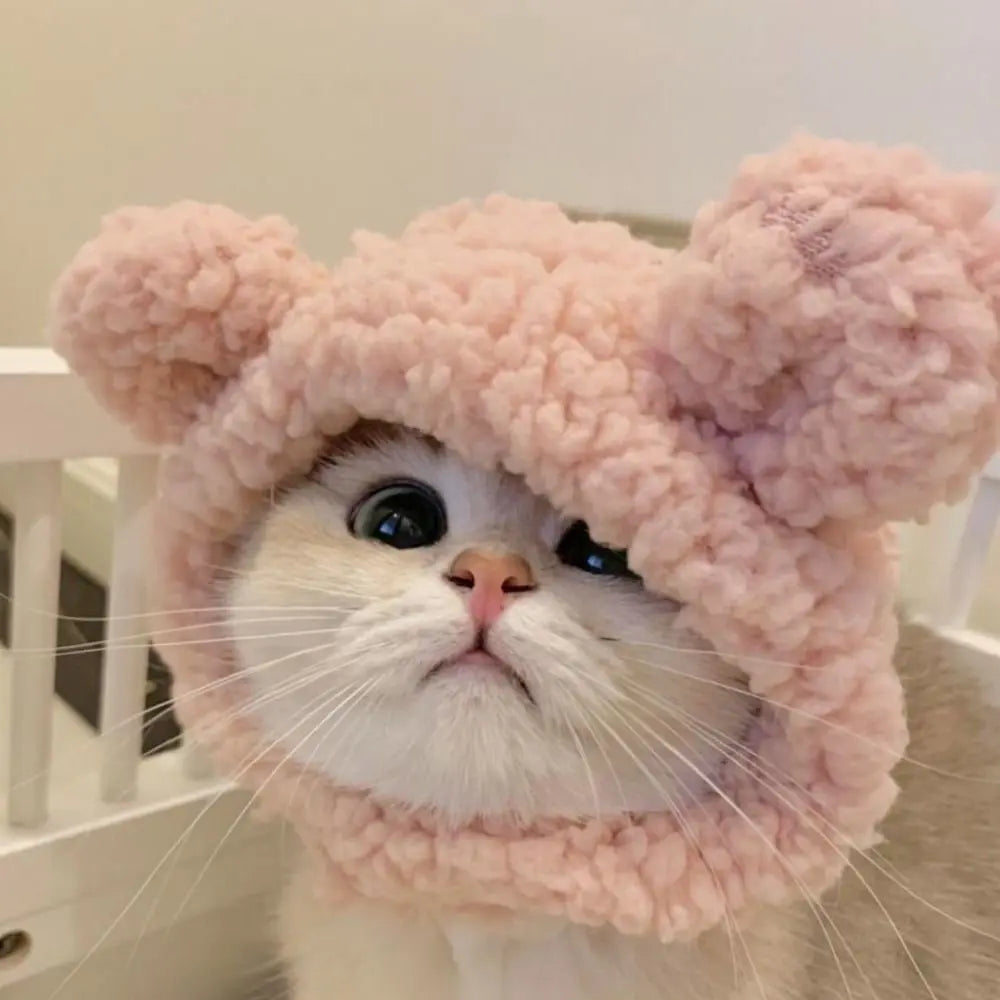 Chapeau en peluche pour chat et petit chien – Accessoire avec oreilles d’ours ou de lapin