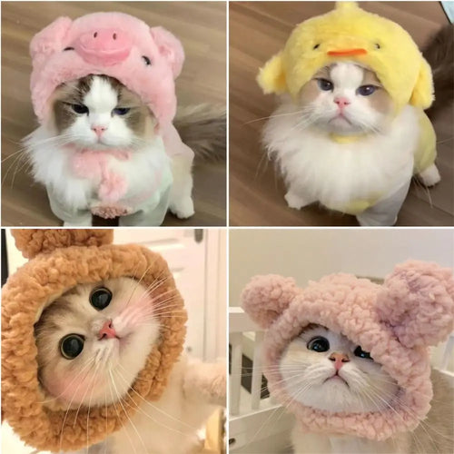 Chapeau en peluche pour chat et petit chien – Accessoire avec oreilles d’ours ou de lapin