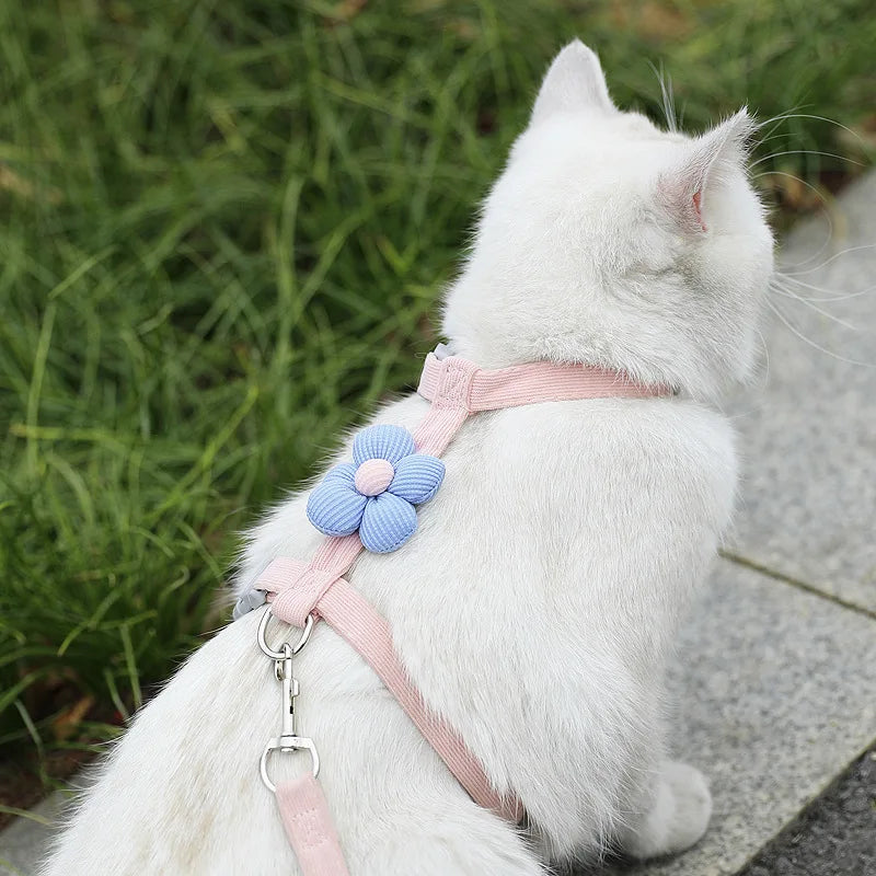 Harnais pour chat avec laisse à motif – Ensemble réglable et confortable