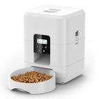Mangeoire Automatique pour Chien et Chat