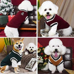 Pull Chaud Col V pour Chien