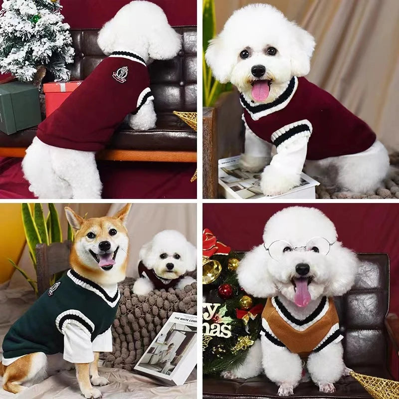 Pull Chaud Col V pour Chien
