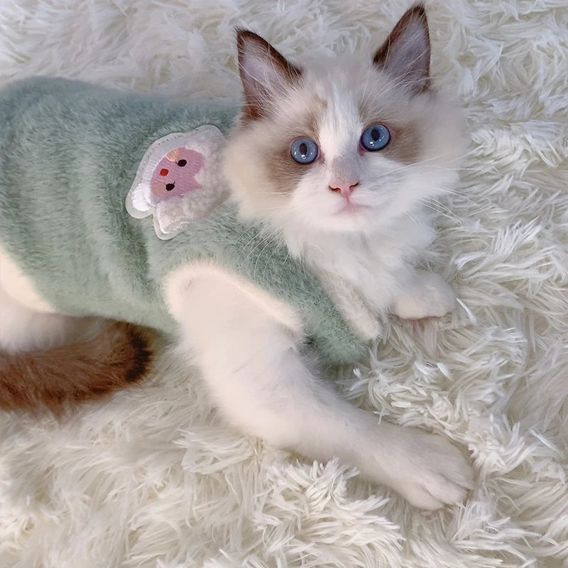 Gilet pour chat et chaton – Vêtement chaud et confortable