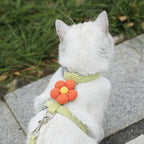 Harnais pour chat avec laisse à motif – Ensemble réglable et confortable