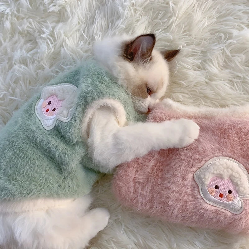 Gilet pour chat et chaton – Vêtement chaud et confortable