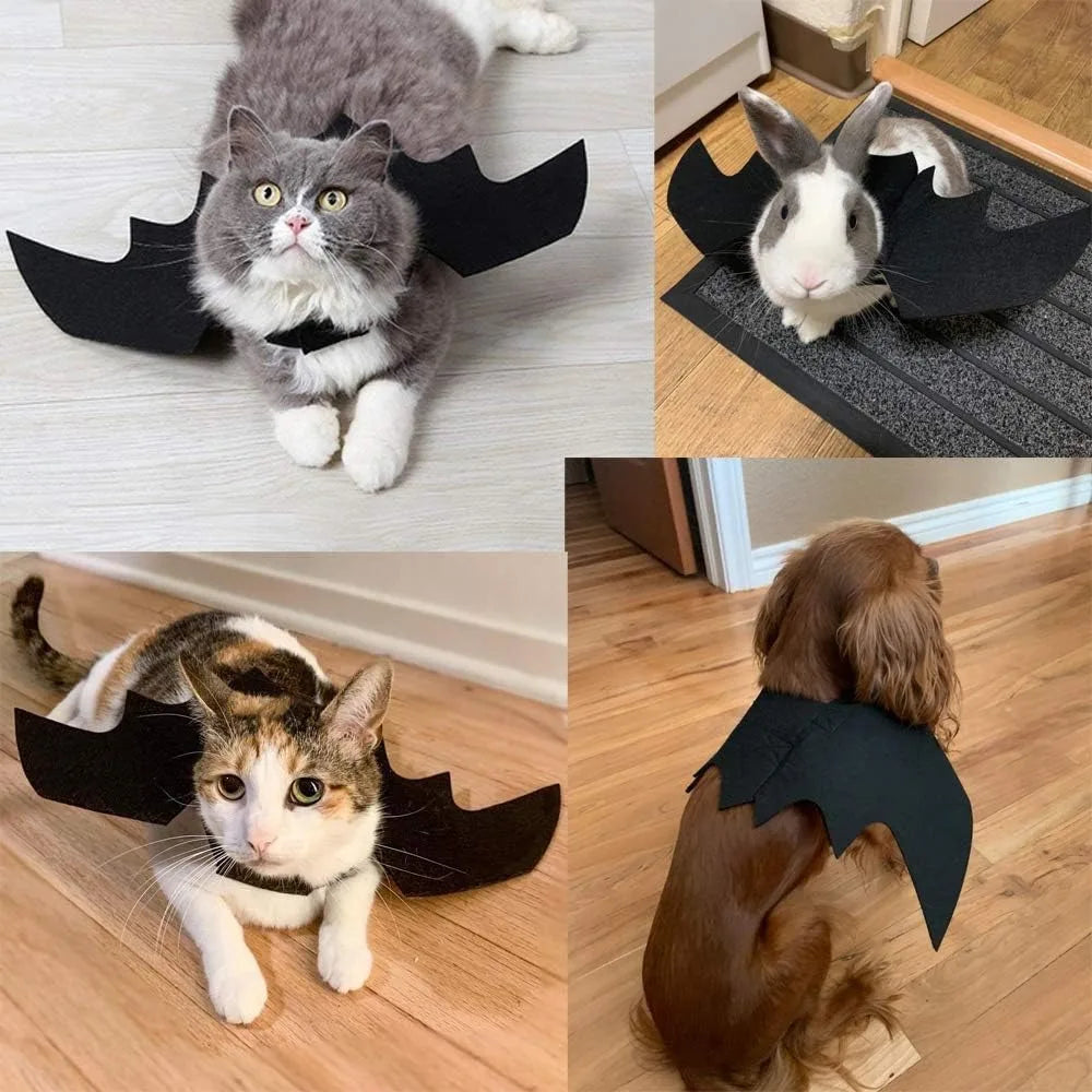 Costume Chauve-Souris pour Chat et Petit Chien – Ailes de Halloween