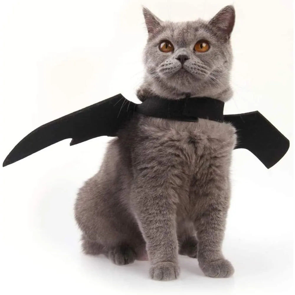 Costume Chauve-Souris pour Chat et Petit Chien – Ailes de Halloween
