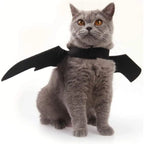 Costume Chauve-Souris pour Chat et Petit Chien – Ailes de Halloween