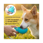 Gourde de Voyage 2-en-1 pour Chien et Chat — 285 ml