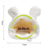 Chapeau en peluche pour chat et petit chien – Accessoire avec oreilles d’ours ou de lapin