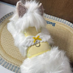 Harnais gilet pour chat en velours et nylon – Confortable et ajusté pour toutes les saisons