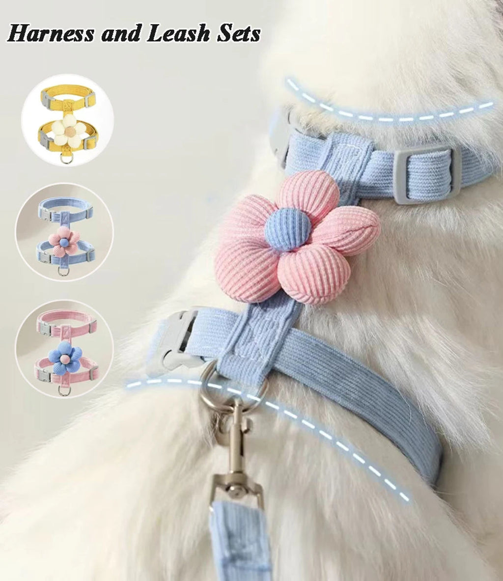 Harnais pour chat avec laisse à motif – Ensemble réglable et confortable