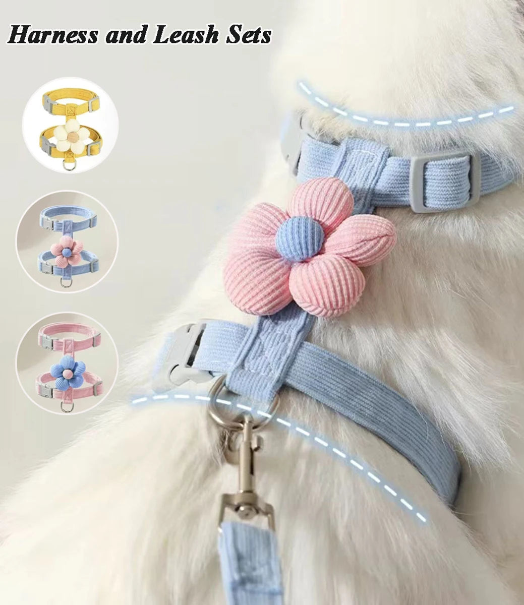 Harnais pour chat avec laisse à motif – Ensemble réglable et confortable