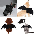 Costume Chauve-Souris pour Chat et Petit Chien – Ailes de Halloween