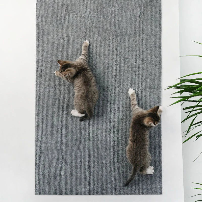 Tapis à Griffer Auto-Adhésif pour Chat