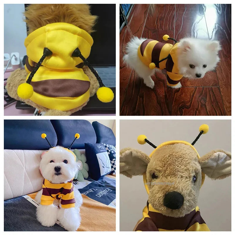 Costume Abeille pour Chat et Petit Chien – Vêtement Cosplay Doux et Original