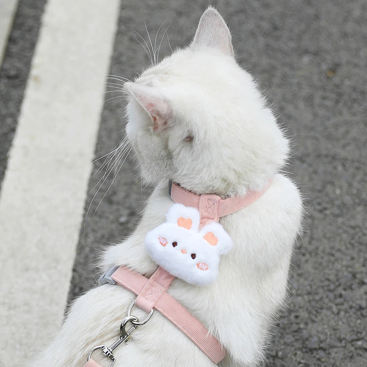 Harnais pour chat avec laisse à motif – Ensemble réglable et confortable