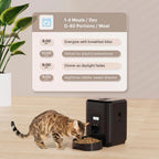 Mangeoire Automatique pour Chien et Chat