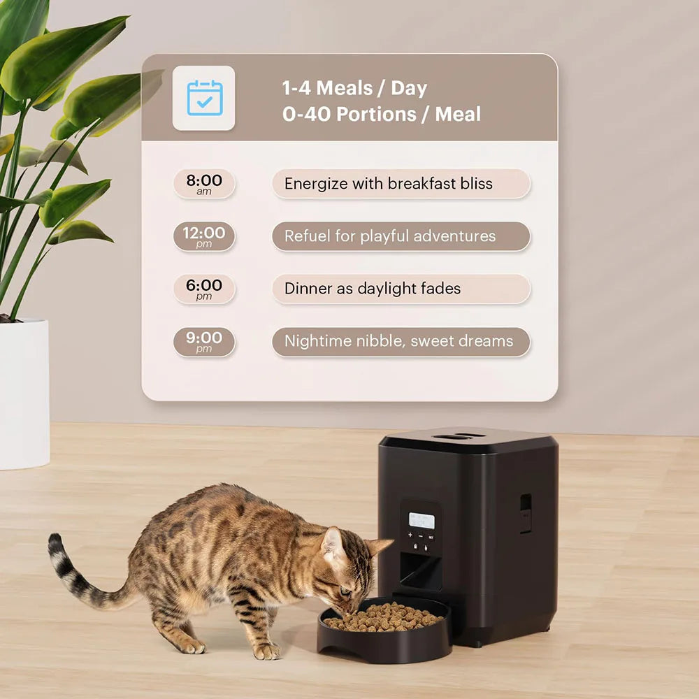 Mangeoire Automatique pour Chien et Chat