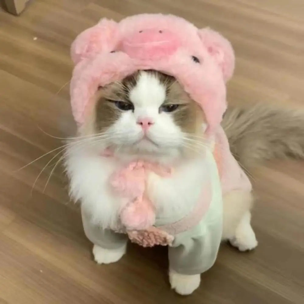 Chapeau en peluche pour chat et petit chien – Accessoire avec oreilles d’ours ou de lapin