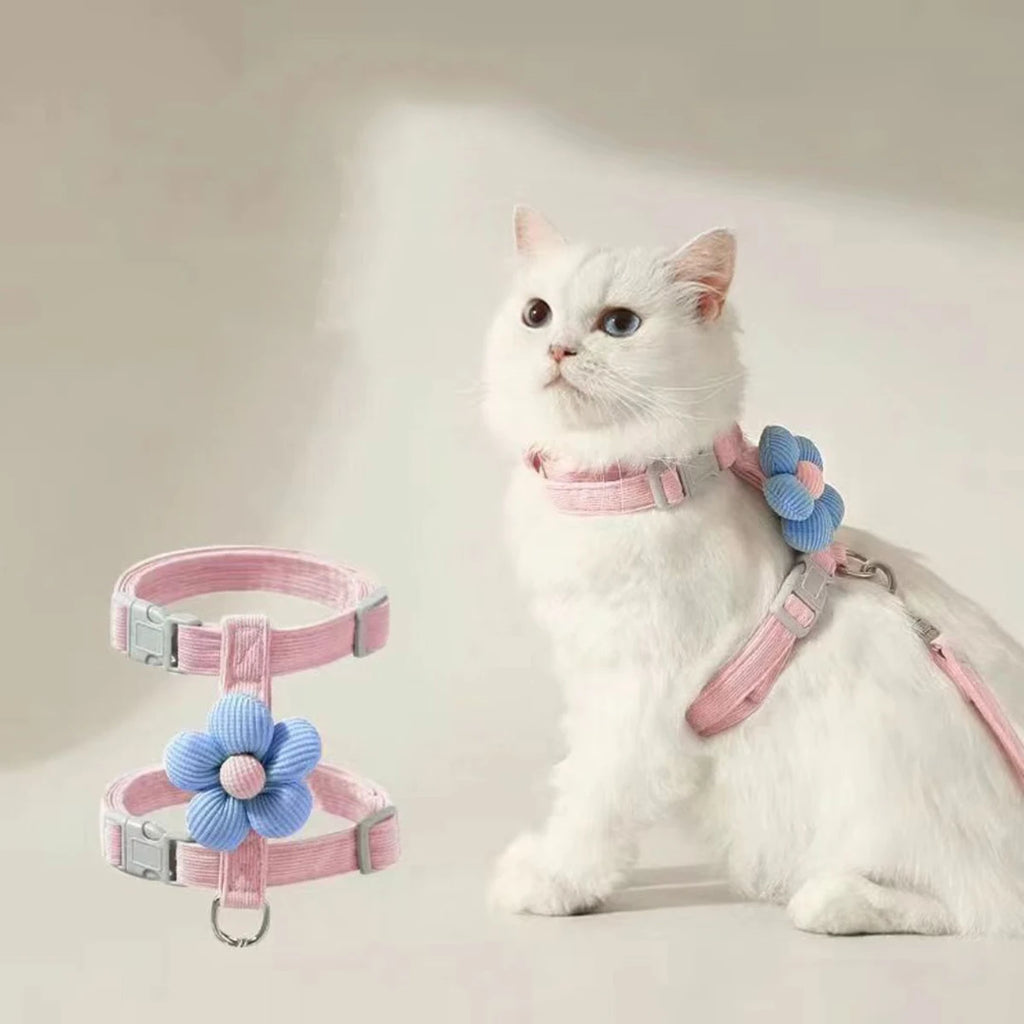 Harnais pour chat avec laisse à motif – Ensemble réglable et confortable