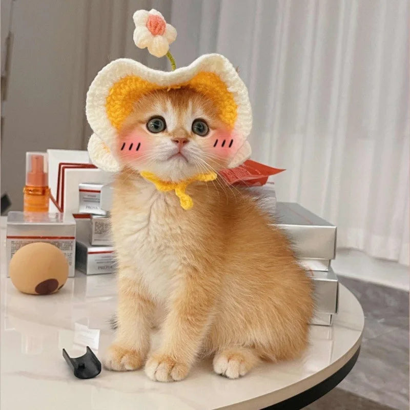 Chapeau fleuri ajustable pour chat et petit chien – Accessoire léger pour photos et occasions spéciales