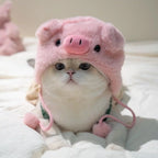 Chapeau en peluche pour chat et petit chien – Accessoire avec oreilles d’ours ou de lapin