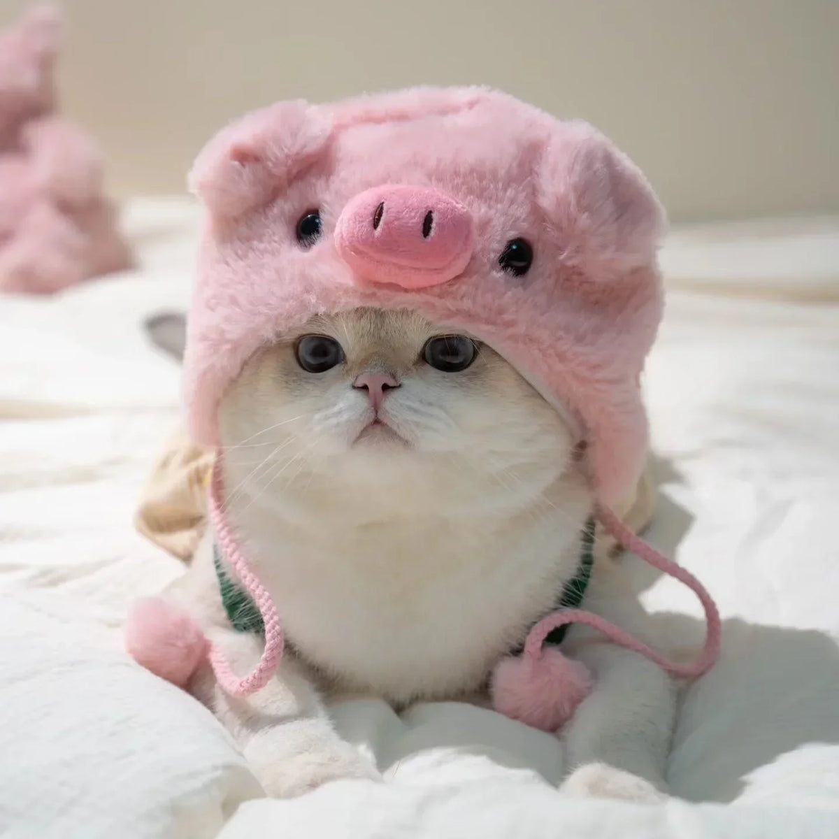 Chapeau en peluche pour chat et petit chien – Accessoire avec oreilles d’ours ou de lapin