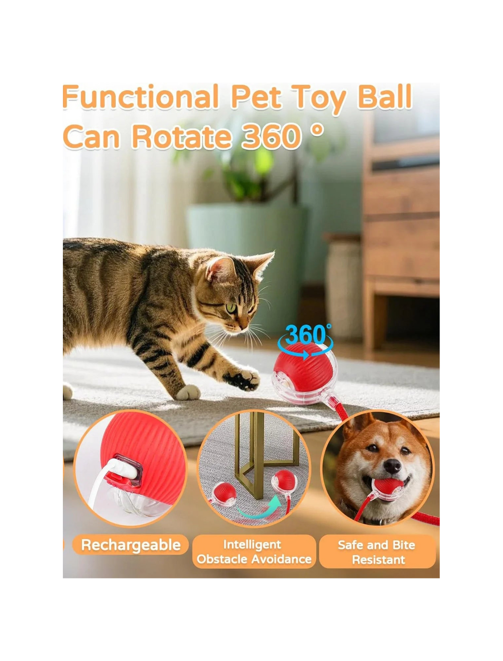 Balle interactive automatique pour chat – Jouet roulant rechargeable pour stimuler l'activité et l'instinct de chasse