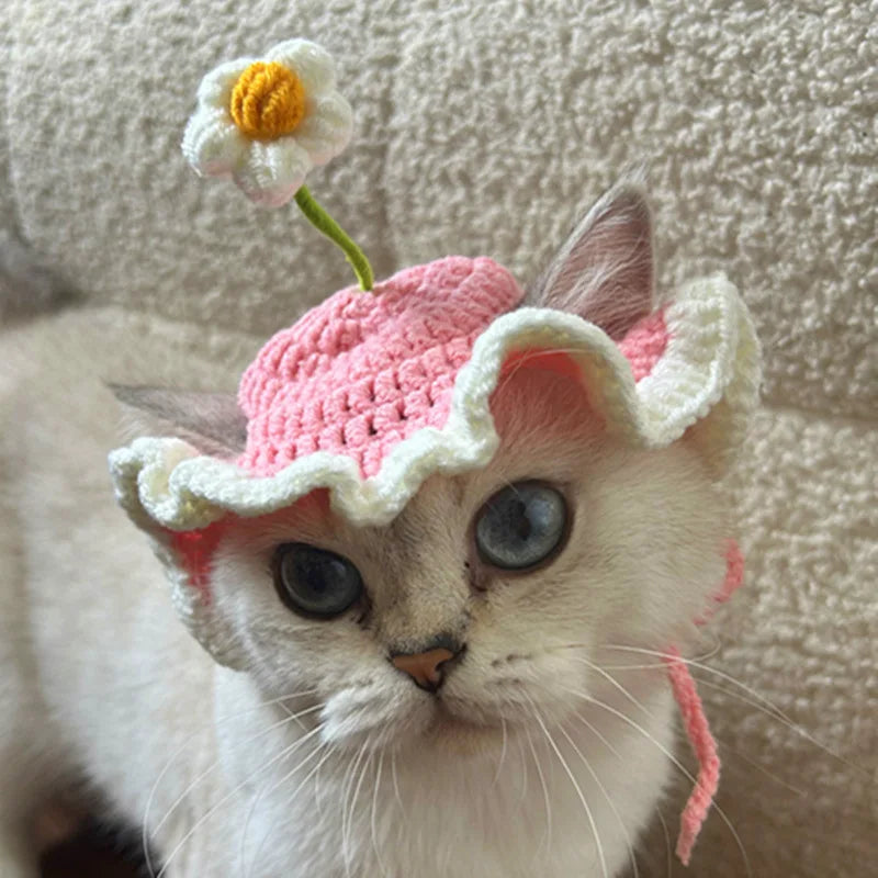 Chapeau fleuri ajustable pour chat et petit chien – Accessoire léger pour photos et occasions spéciales